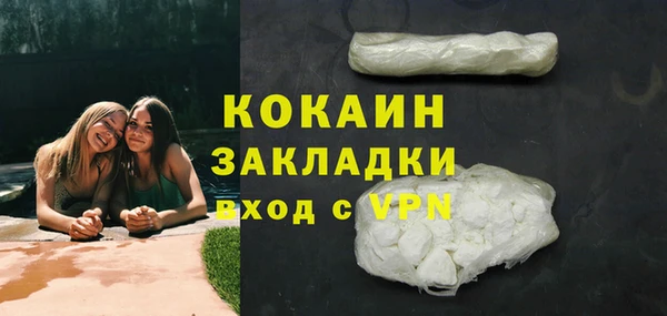 ПСИЛОЦИБИНОВЫЕ ГРИБЫ Горняк