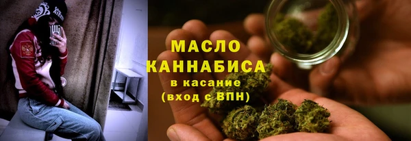 ПСИЛОЦИБИНОВЫЕ ГРИБЫ Горняк