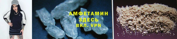 ПСИЛОЦИБИНОВЫЕ ГРИБЫ Горняк