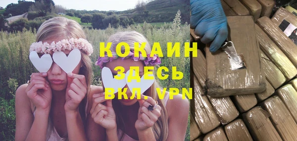 ПСИЛОЦИБИНОВЫЕ ГРИБЫ Горняк